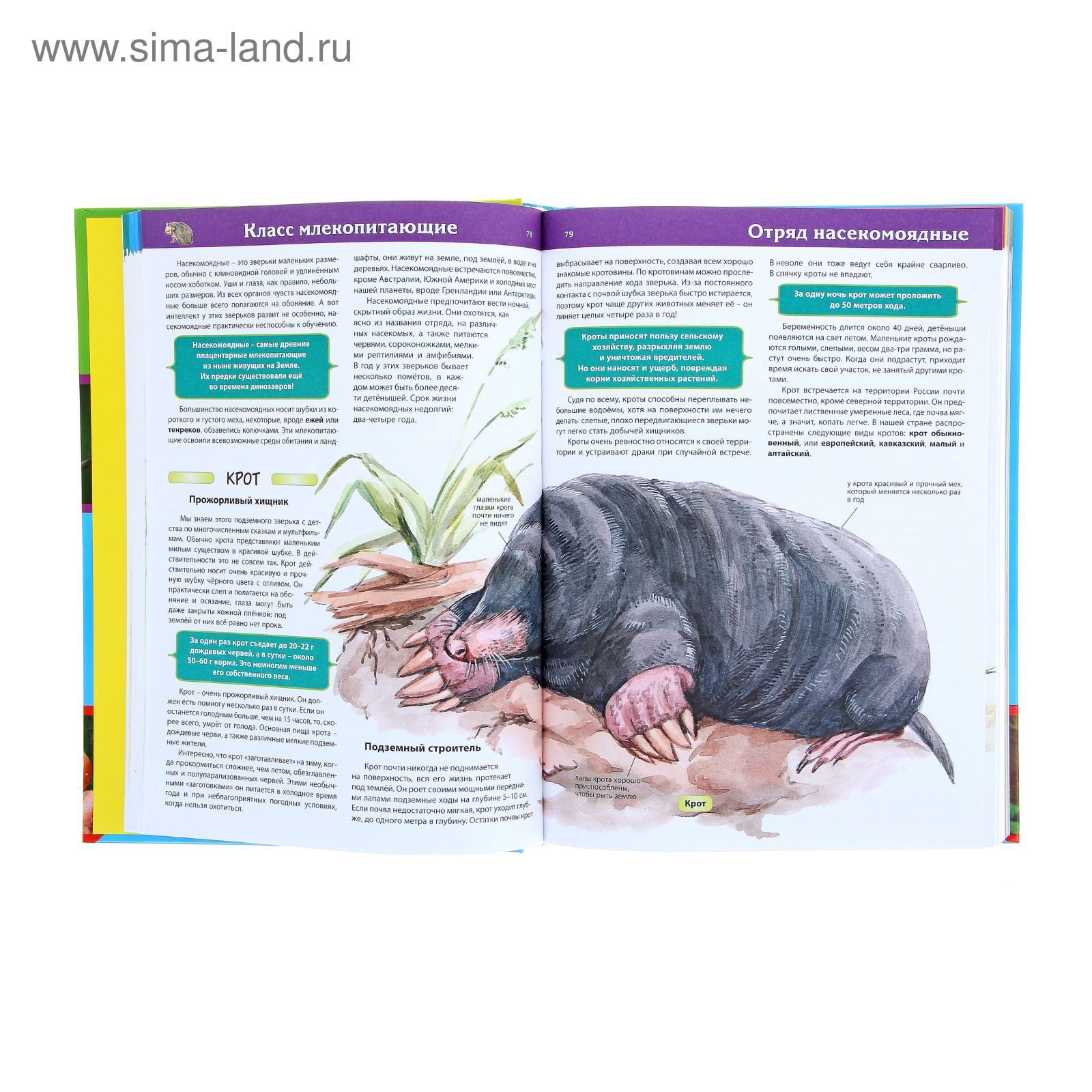 Первая энциклопедия животных для маленьких почемучек. Автор: Скиба