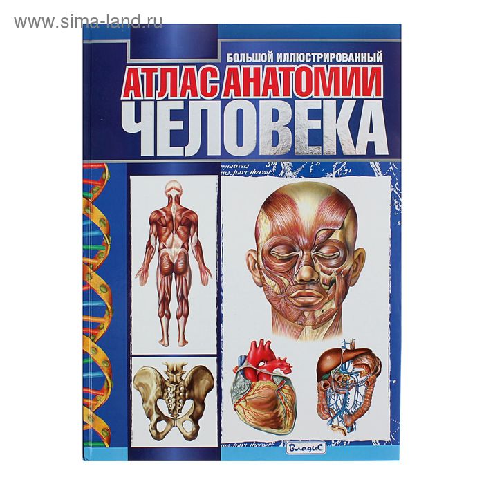 Большой иллюстрированный атлас анатомии человека - Фото 1