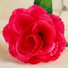Цветы искусственные "Роза малиновая" 40 см - Фото 2