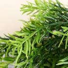 Букет искусственный «Трава декоративная», h=30 см - Фото 2