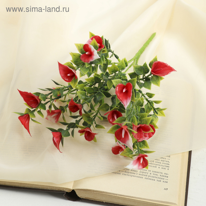 букет калы 30 см МИКС - Фото 1