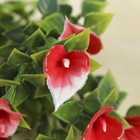 букет калы 30 см МИКС - Фото 2