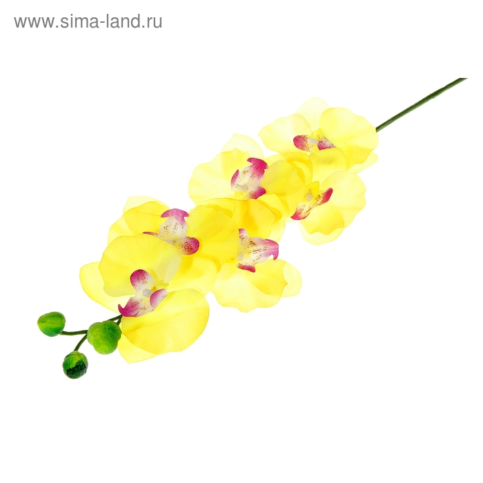 цветы искусственные орхидея 60 см d-6 см волна ярко-желтая - Фото 1