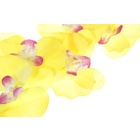 цветы искусственные орхидея 60 см d-6 см волна ярко-желтая - Фото 2