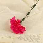 Цветы искусственные "Гвоздика розовая" 40 см - фото 8345545
