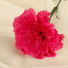 Цветы искусственные "Гвоздика розовая" 40 см - Фото 2