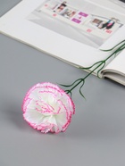 Цветы искусственные «Гвоздика», h=45 см, МИКС - Фото 3