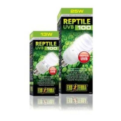 Hagen Repti Glo 5.0 Compact 10 13 1116203 1 402.00 SIMA LAND.RU