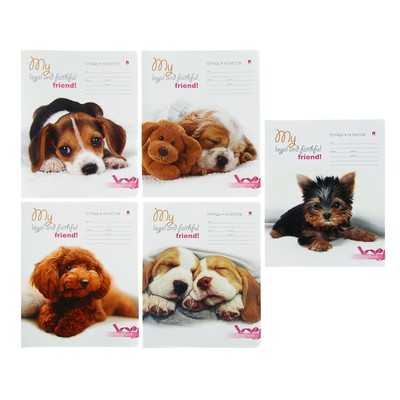 Тетрадь 18 листoв в линейку «Щеночки», обложка мелованная бумага, МИКС