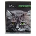 Дневник для 5-11 класса, интегральная обложка, «Кошки. Яркий взгляд», иридиум, глянцевая ламинация, 40 листов - Фото 1