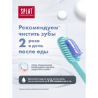 Зубная паста Splat Professional, «Лавандасепт», 100 г - фото 8251313