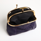 Кошелёк-косметичка, 2 отдела на рамке, цвет фиолетовый МИКС - фото 23900298