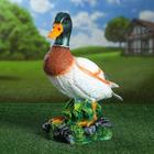 Садовая фигура из полистоуна «Селезень», 35×29×18 см - Фото 1