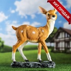 Садовая фигура из полистоуна «Оленёнок», 39×18×53 см - Фото 14