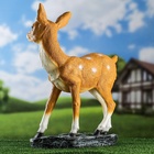 Садовая фигура из полистоуна «Оленёнок», 39×18×53 см - Фото 17