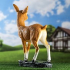 Садовая фигура из полистоуна «Оленёнок», 39×18×53 см - Фото 15