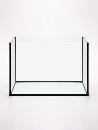 Аквариум «Прямоугольный» без крышки, 50 л, 51×27×35 см