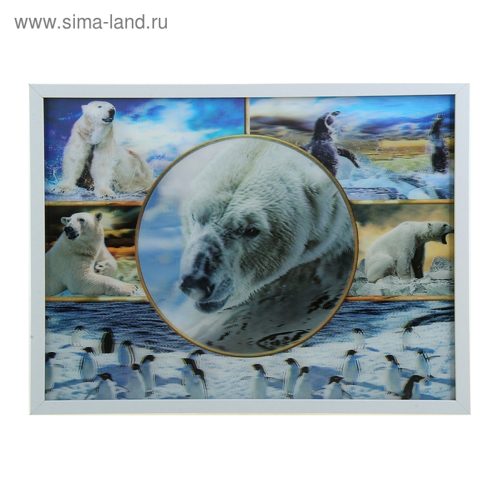 картина объемная 30*40 см коллаж "Белые медведи" - Фото 1