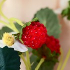 цветы искусственные земляника 28 см - Фото 2