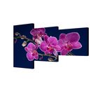 Картина модульная на подрамнике "Орхидея" 50*100см,50*70см,50*50см     100*150см - Фото 1