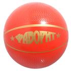 Мяч, диаметр 20 см, цвета МИКС - Фото 1