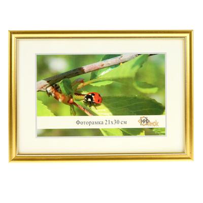 Фоторамка для фото 21×30 см, формат А4 Aaliyah, под золото