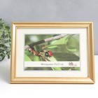 Фоторамка 1017-1123 (15х21 см) - Фото 1