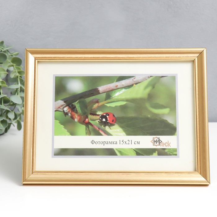 Фоторамка 1017-1123 (15х21 см) - Фото 1