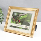 Фоторамка 1017-1123 (15х21 см) - Фото 2