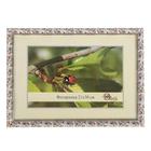 Фоторамка для фото 21×30 см, формат А4 Aaliyah, цветы - Фото 1