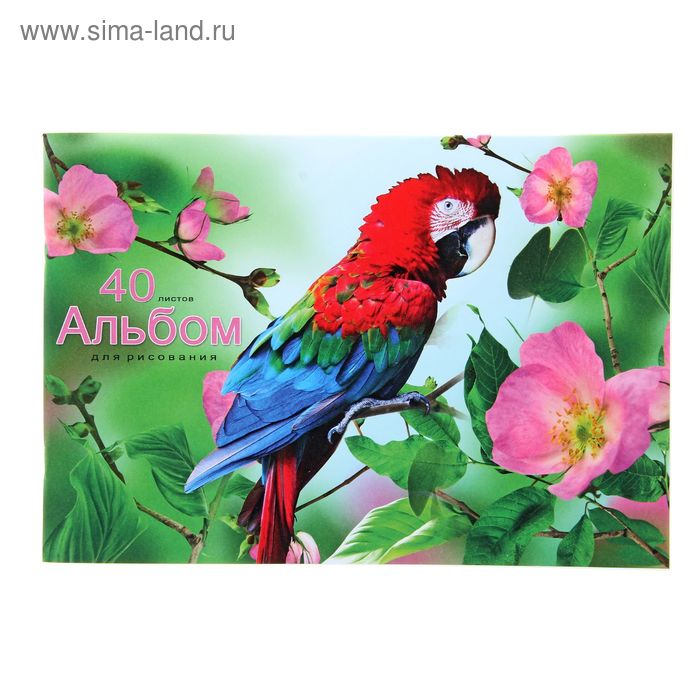 Альбом для рисования А4, 40 листов на скрепке "Яркий попугай", обложка офсет 80г/м2, блок офсет 100г/м2 - Фото 1
