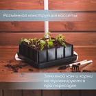 Набор для рассады: пластиковая вставки на 16 ячеек, по 130 мл, пластиковый чёрный поддон, 26,5 × 26,5 × 3 см 184009 - фото 2132813