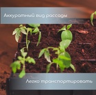 Набор для рассады: пластиковая вставки на 16 ячеек, по 130 мл, пластиковый чёрный поддон, 26,5 × 26,5 × 3 см 184009 - фото 2132814