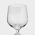 Набор бокалов для вина «Клаудия», 230 мл, 6 шт - Фото 4
