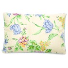 Подушка "Греческая" БИО М1, размер 40х60 см, лузга гречихи, тик, цвет микс - Фото 1