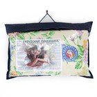 Подушка "Греческая" БИО М1, размер 40х60 см, лузга гречихи, тик, цвет микс - Фото 3