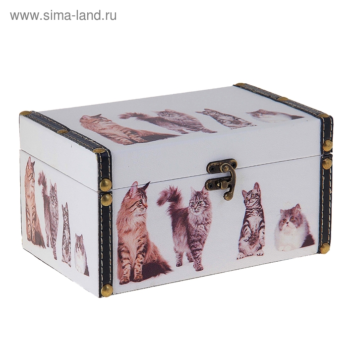 Шкатулка сундучок "Кошечки" 22х14х11,5 см - Фото 1