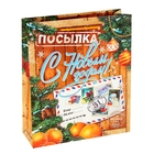 Пакет ламинированный вертикальный «Посылка», 11 × 14 см - Фото 1