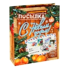 Пакет ламинированный вертикальный «Посылка», 11 × 14 см - Фото 3