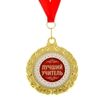 Медаль двухсторонняя "Лучший учитель" - Фото 1