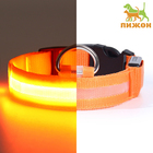 Ошейник с подсветкой размер S, ОШ 35-43 х 2,5 см, 3 режима свечения оранжевый - фото 321096269