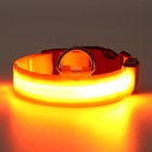Ошейник с подсветкой размер S, ОШ 35-43 х 2,5 см, 3 режима свечения оранжевый - Фото 4