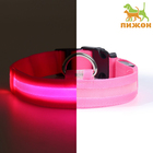 Ошейник с подсветкой размер М, ОШ 40-48 х 2,5 см, 3 режима свечения розовый - фото 9104201