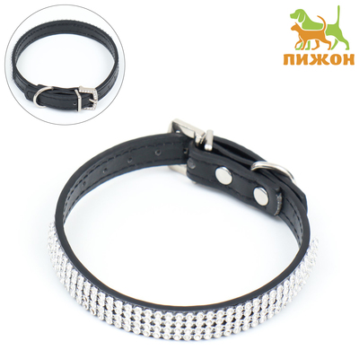 Ошейник, 38×1.5 см, ОШ 26-33, со стразами в 4 ряда, стразы на пряжке, чёрный