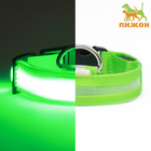Ошейник с подсветкой размер S, ОШ 35-43 х 2,5 см, 3 режима свечения зелёный - фото 321096351
