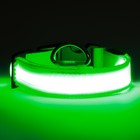 Ошейник с подсветкой размер L, ОШ 45-52 х 2,5 см, 3 режима свечения зелёный - фото 9533176