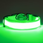 Ошейник с подсветкой размер L, ОШ 45-52 х 2,5 см, 3 режима свечения зелёный - фото 9104272