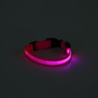 Ошейник с подсветкой, 45-50 см, 3 режима свечения, розовый - Фото 3