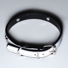 Ошейник «Пижон», 37×1.3 см, ОШ 26-33, с декором,, светоотражающий, чёрный 1041438
