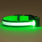 Ошейник с подсветкой Двойная полоса размер М, ОШ 40-48 х 2,5 см, 3 режима свечения зелёный - фото 9104298